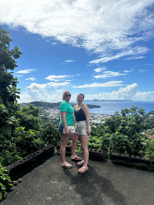 St. Vincent Highlights (Digital)