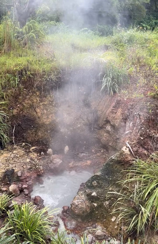 Dominica/Roseau Highlights (Digital)