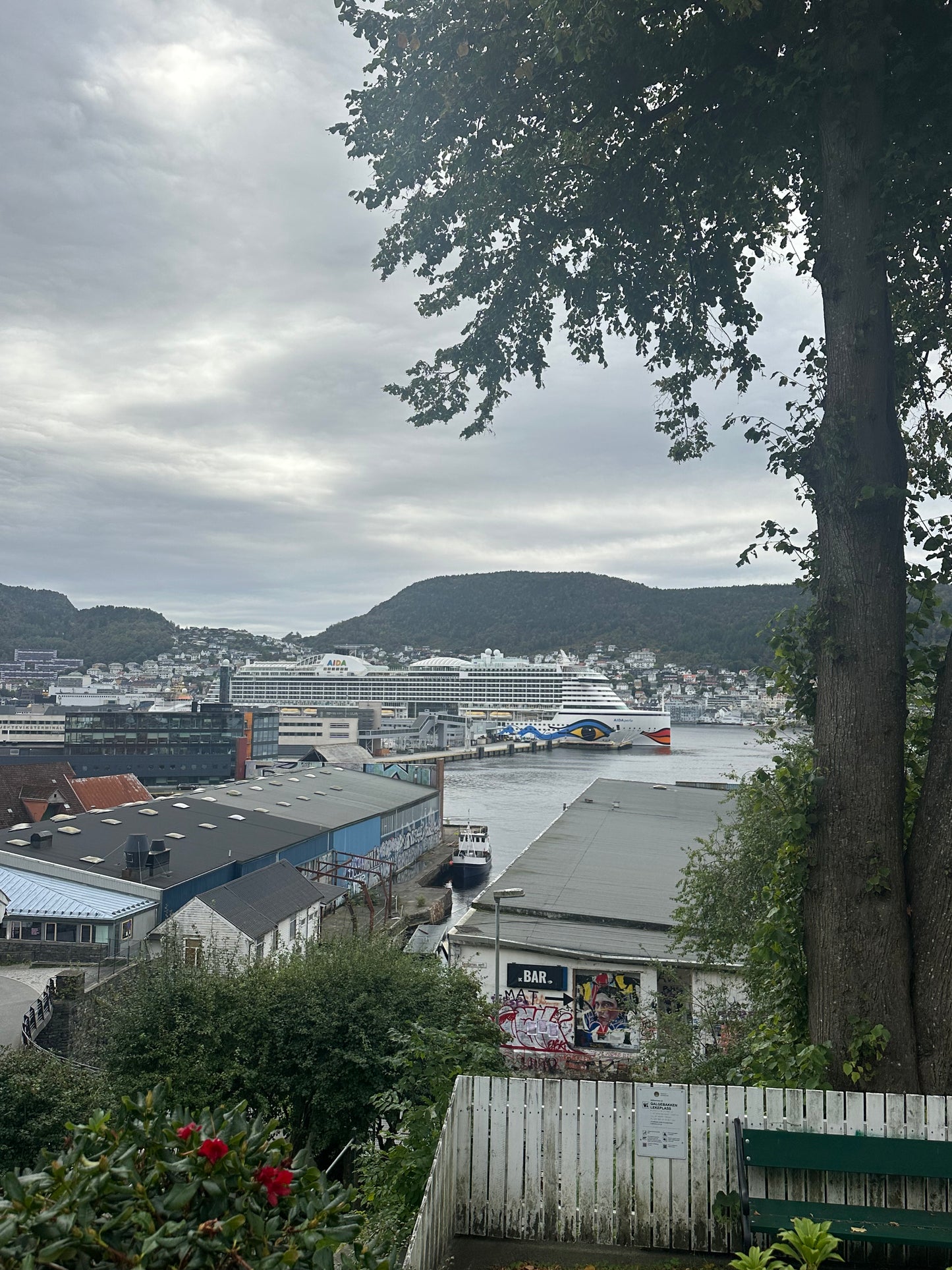 Bergen Highlights (Digital)
