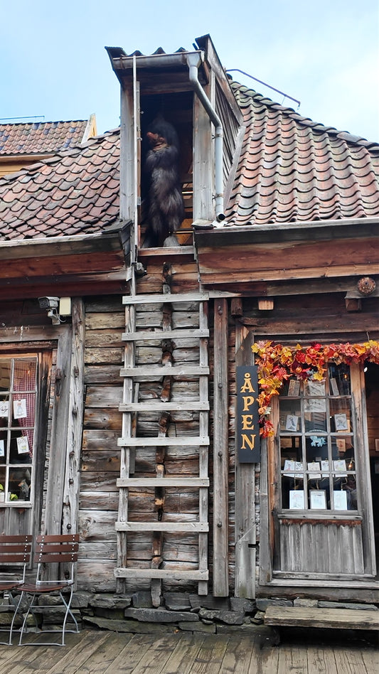 Kreuzfahrt - Norwegens Fjorde ab Hamburg (Digital)