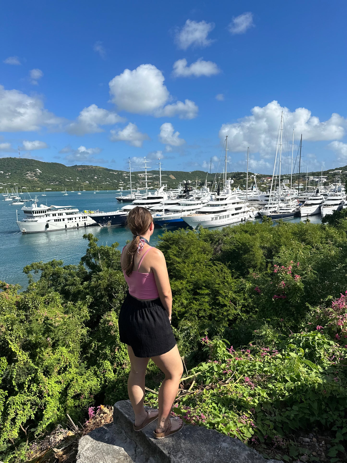 Antigua Highlights (Digital)
