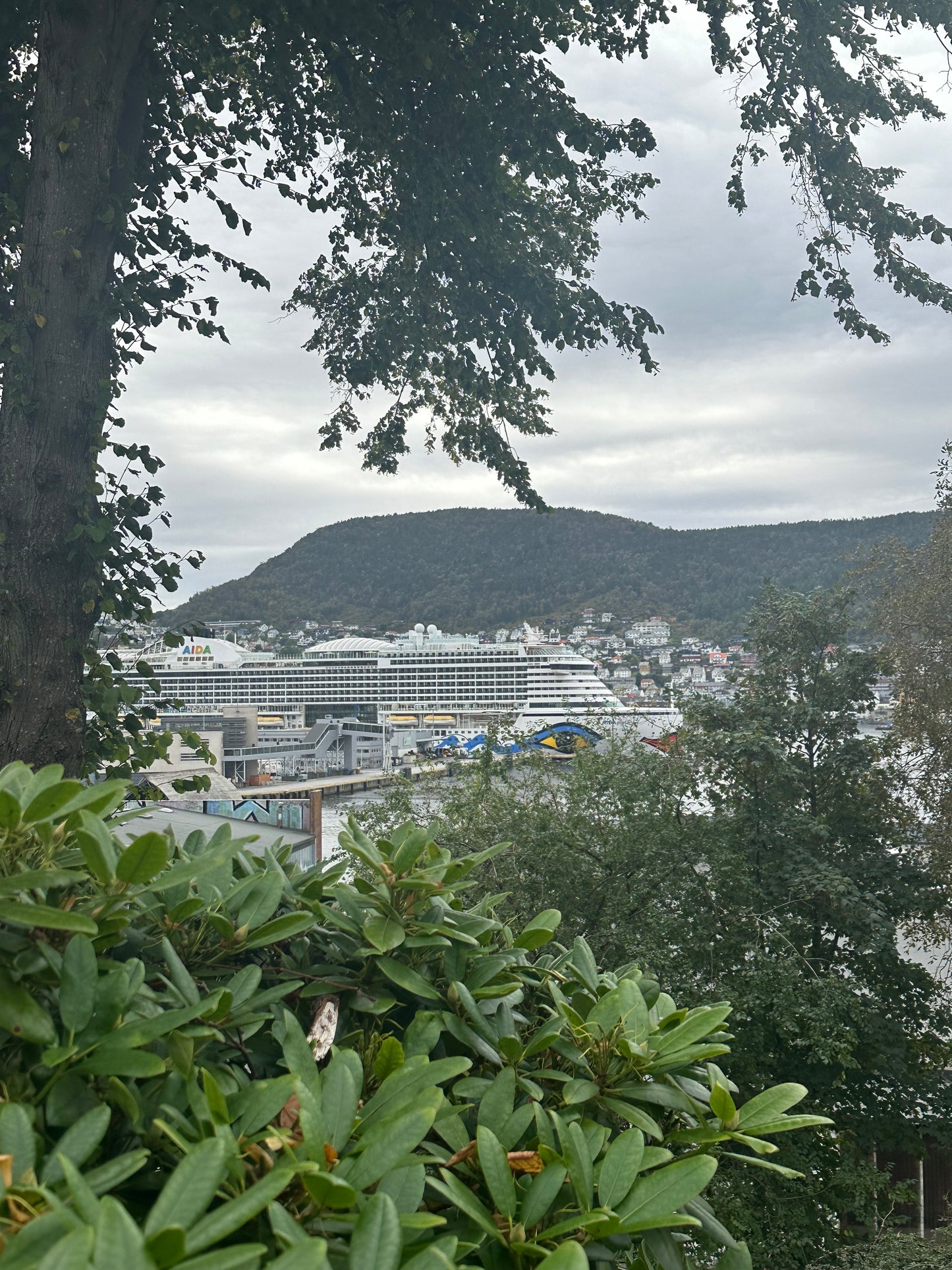 Kreuzfahrt - Norwegens Fjorde ab Hamburg (Digital)