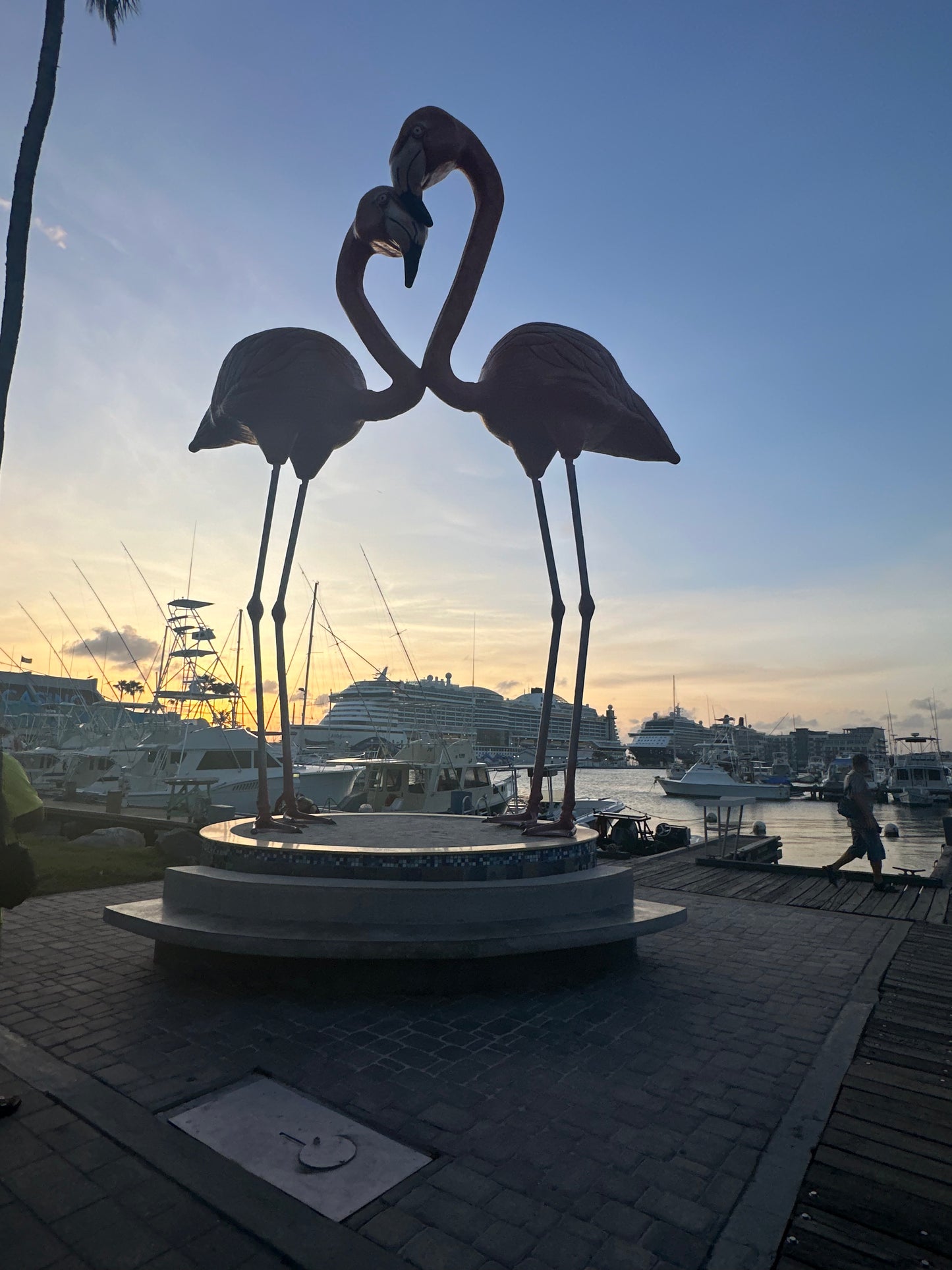 Aruba Highlights (Digital)