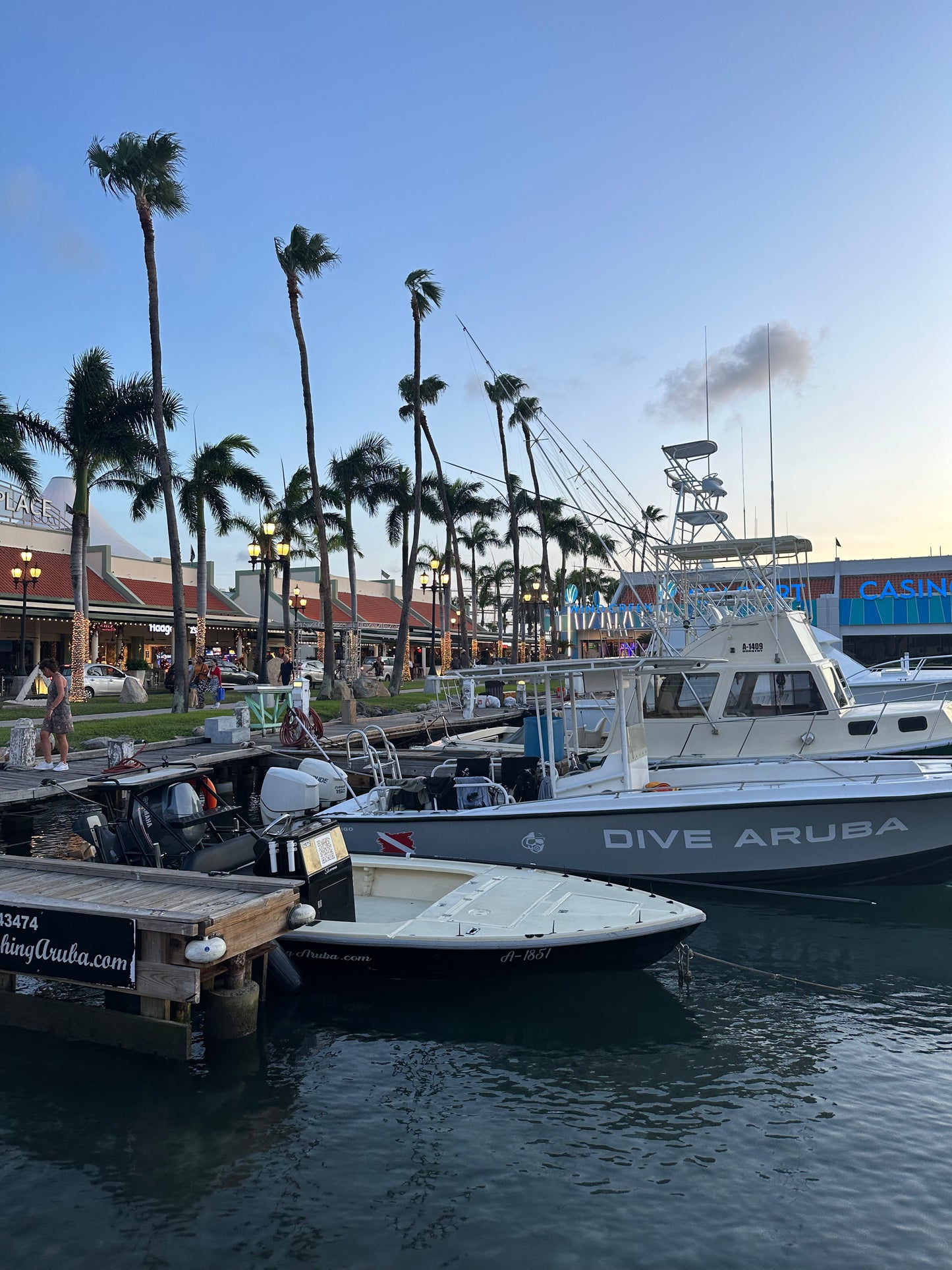 Aruba Highlights (Digital)