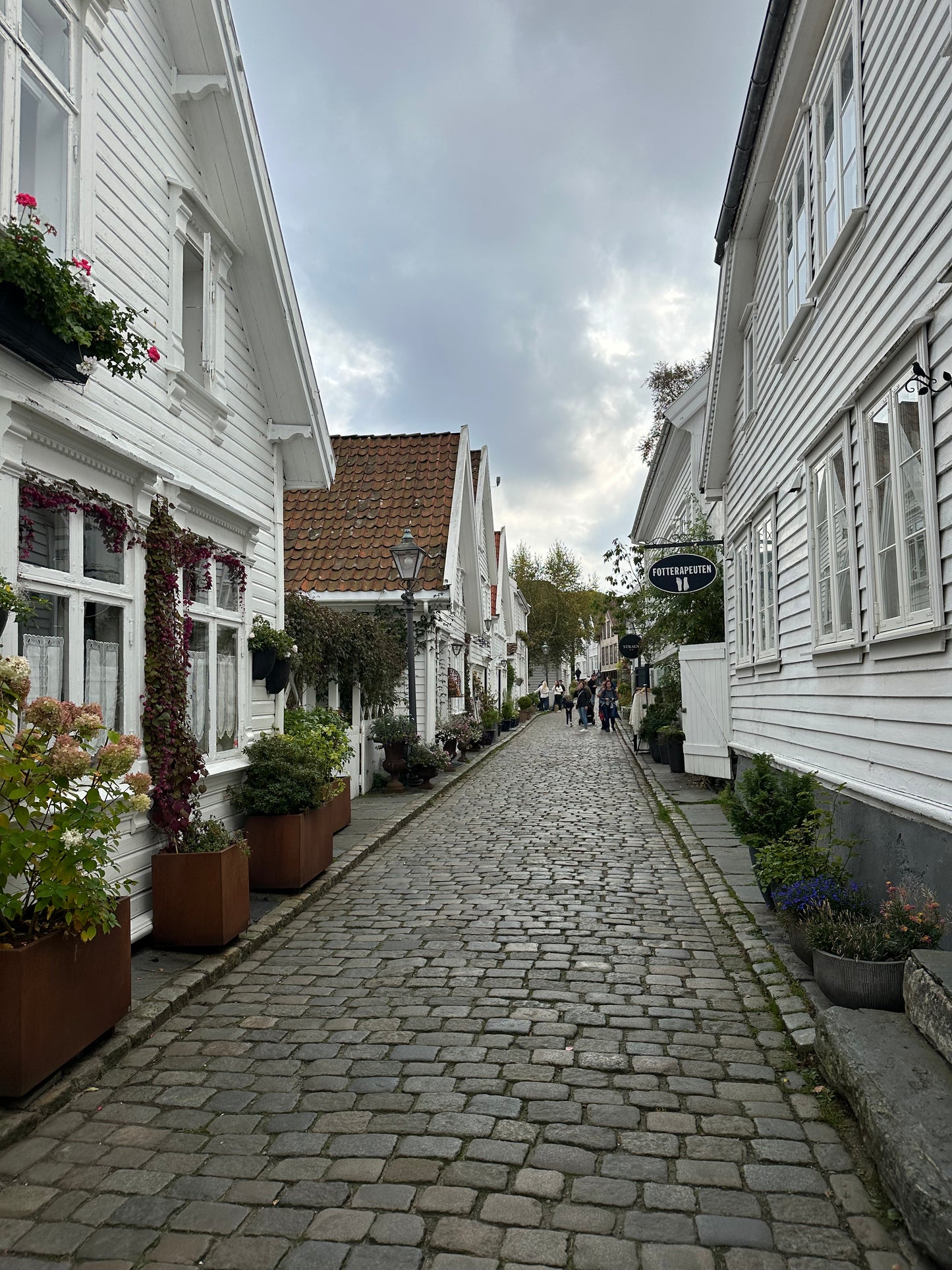 Kreuzfahrt - Norwegens Fjorde ab Hamburg (Digital)